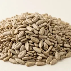 بذور دوار الشمس