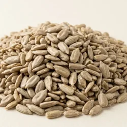 بذور دوار الشمس