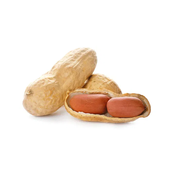 فول سوداني