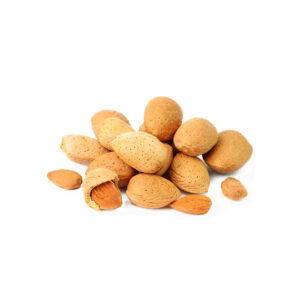 Almond seed