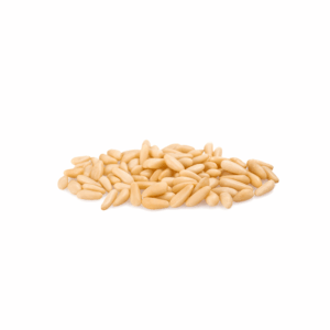 Pine Nut